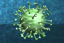 coronavirus